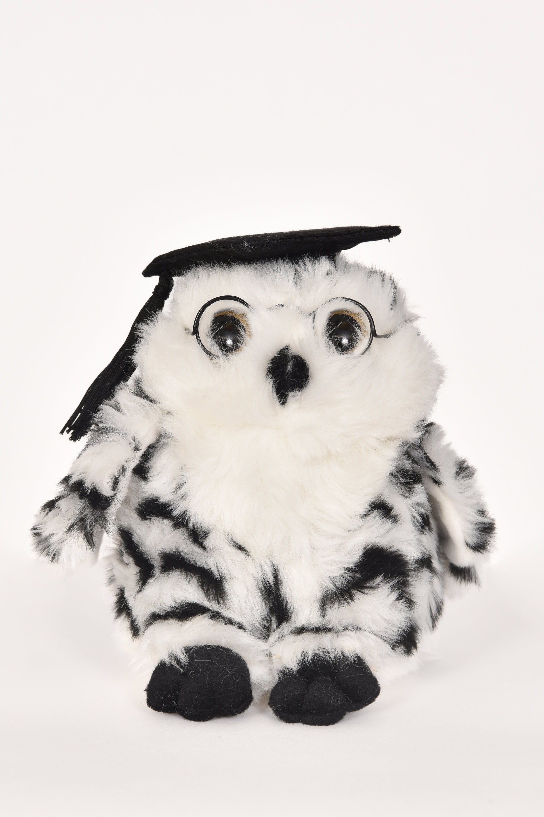 Graduation Bears