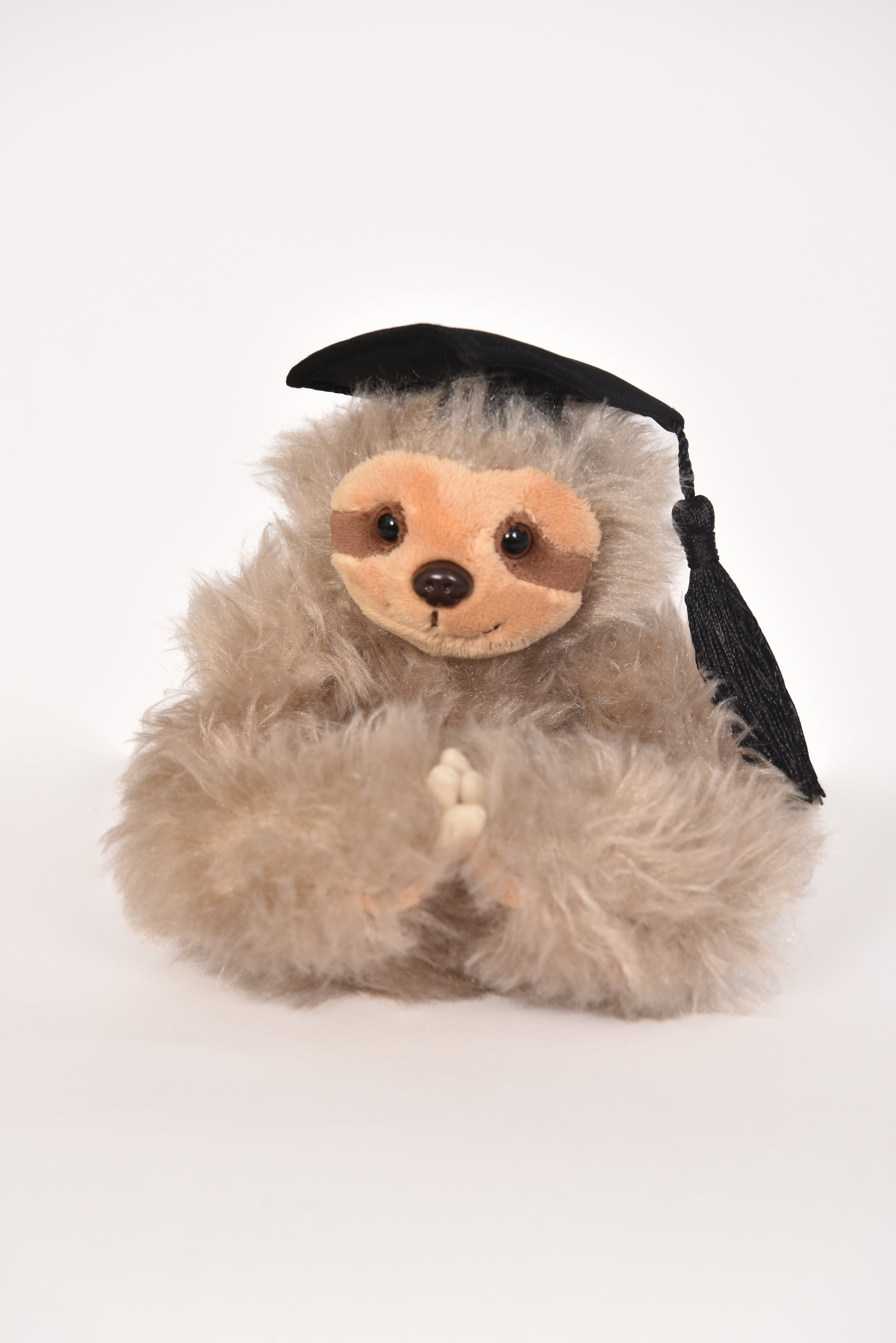 Graduation Bears